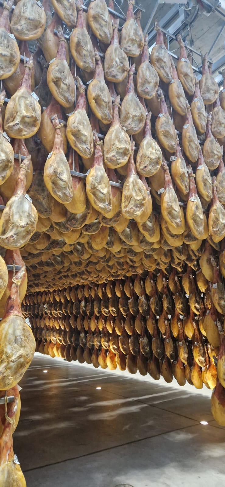 Jamonterapia